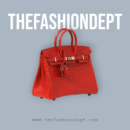 Birkin 30 black swift
