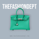 Birkin 30 black swift