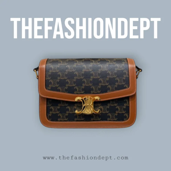 20201207_i1607317673_253_0.jpg-Photoroom Celine triomphe brown, triomphe canvas